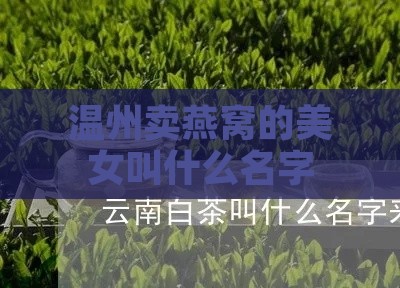 温州卖燕窝的美女叫什么名字来着：揭秘其真实身份