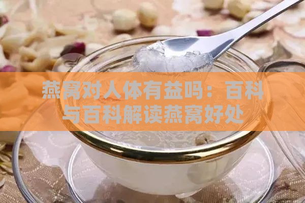 燕窝对人体有益吗：百科与百科解读燕窝好处