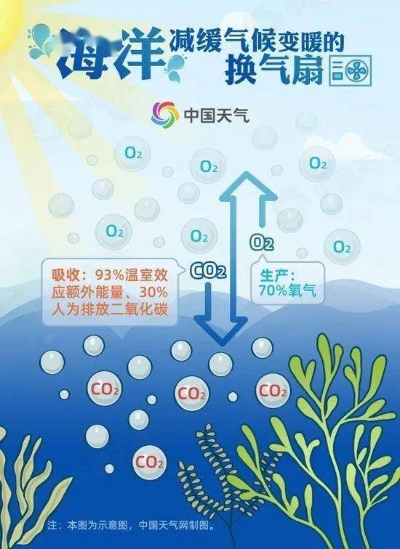 海洋奥秘：全面解析海字开头三个字的背后故事与市场影响力