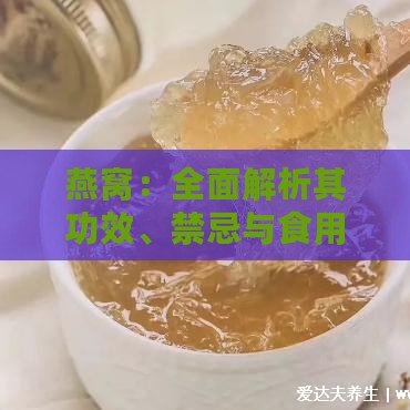 燕窝：全面解析其功效、禁忌与食用指南