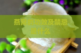 燕窝的功效及禁忌是什么