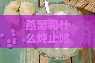 燕窝和什么炖止咳效果好一点：搭配食材推荐及炖法润肺止咳化痰更佳方案