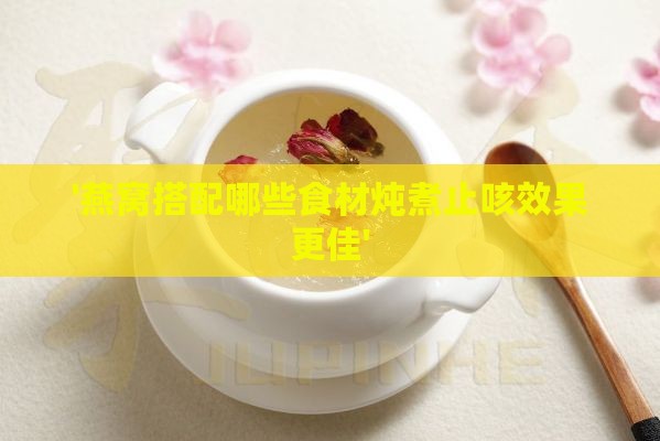 '燕窝搭配哪些食材炖煮止咳效果更佳'