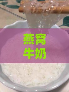 燕窝牛奶用什么牛奶：挑选更佳牛奶搭配燕窝炖制美食