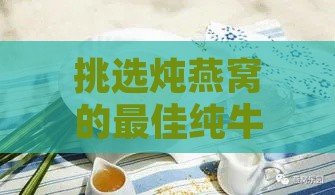 挑选炖燕窝的更佳纯牛奶：全面指南与推荐解析