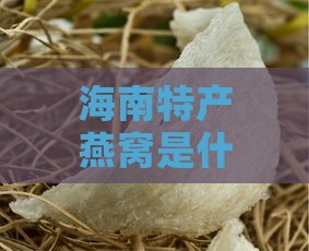 海南特产燕窝是什么品种及其燕子类型