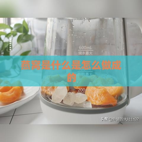 燕窝是什么是怎么做成的