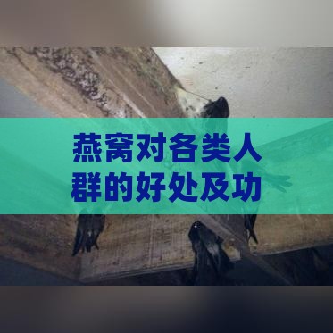 燕窝对各类人群的好处及功效与副作用分析