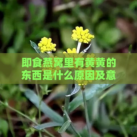 即食燕窝里有黄黄的东西是什么原因及意义？