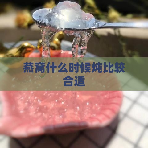 燕窝什么时候炖比较合适