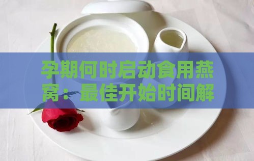 孕期何时启动食用燕窝：更佳开始时间解析