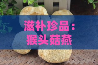 滋补珍品：猴头菇燕窝的制作秘诀