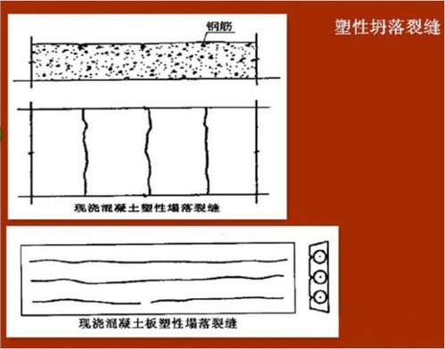 深入解析土燕窝闭口清理技巧与高效去杂原理