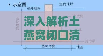 深入解析土燕窝闭口清理技巧与高效去杂原理