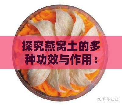 探究燕窝土的多种功效与作用：养生、药用及日常应用解析