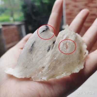 土燕窝什么是闭口清理的