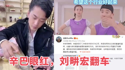 刘畊宏夫妇涉售假燕窝：完整揭秘背后及责任追究情况