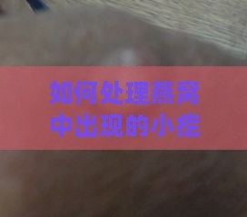 如何处理燕窝中出现的小疙瘩问题