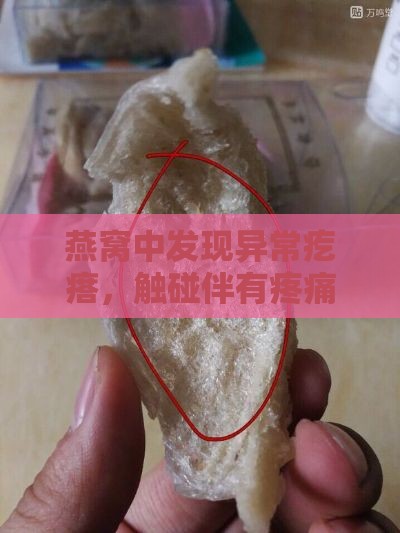 燕窝中发现异常疙瘩，触碰伴有疼痛感，质量疑虑待解