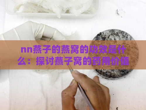 nn燕子的燕窝的功效是什么：探讨燕子窝的药用价值及具体功效