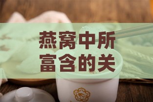 燕窝中所富含的关键营养素及其补充作用