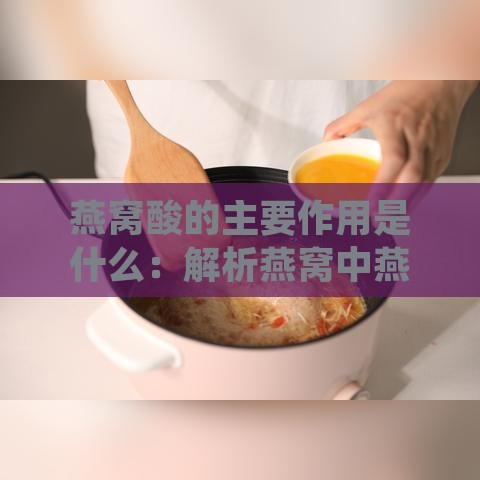 燕窝酸的主要作用是什么：解析燕窝中燕窝酸的作用与功效