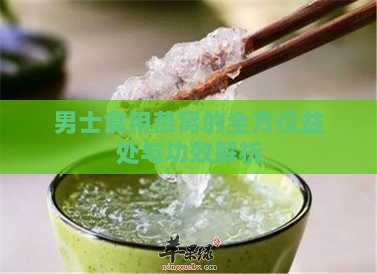 男士食用燕窝的全方位益处与功效解析