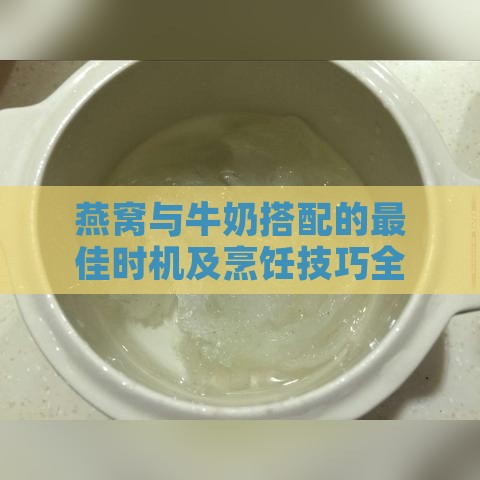 燕窝与牛奶搭配的更佳时机及烹饪技巧全解析