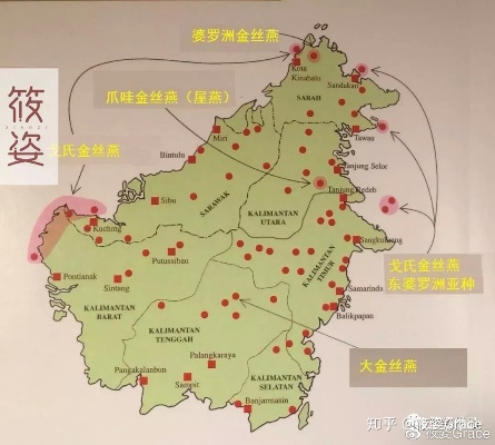 探寻燕窝岛：全球燕窝产地地理位置与特色解析