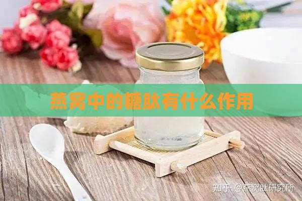 燕窝中的糖肽有什么作用