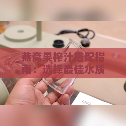 燕窝果榨汁搭配指南：选择更佳水质及调味秘诀