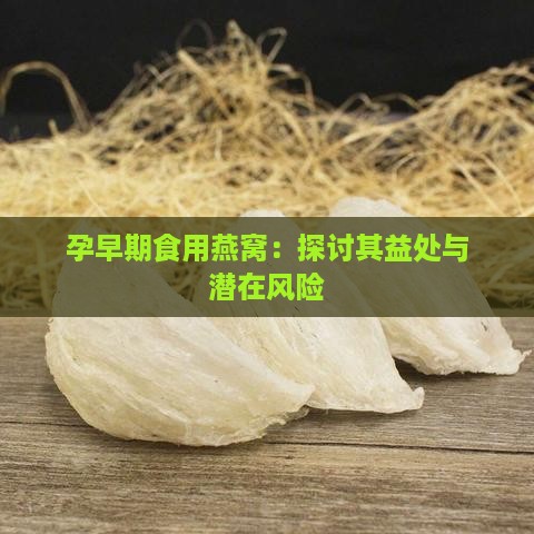 孕早期食用燕窝：探讨其益处与潜在风险