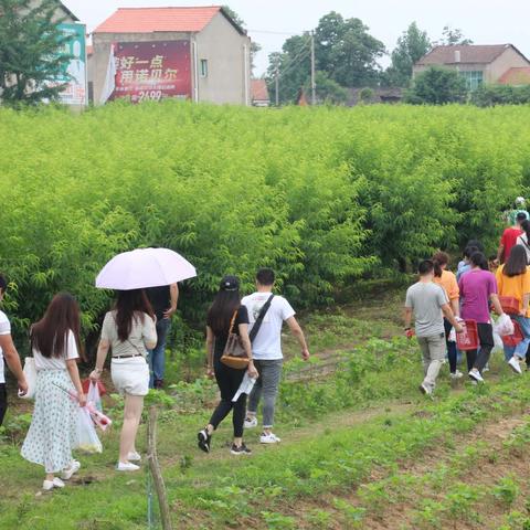 桃胶燕窝炖制技巧与全攻略：从选材到炖煮步骤详解