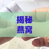 揭秘燕窝清理工具：专业小镊子及其在燕窝处理中的使用方法