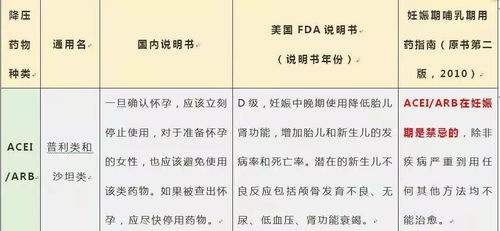 全面解析燕窝替代品：盘点各大平替燕窝推荐与优劣对比