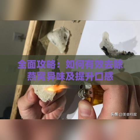 全面攻略：如何有效去除燕窝异味及提升口感