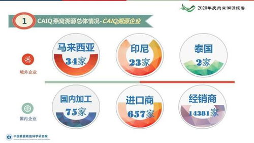 燕窝的起源、形成过程及营养价值：全面解读燕窝的奥秘