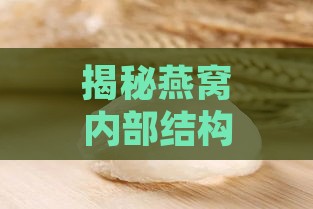 揭秘燕窝内部结构：白色物质、成分及营养价值全解析