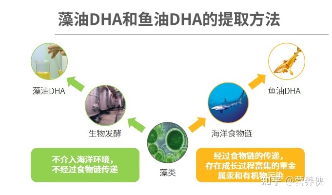 燕窝和dha有什么区别呢：哪个更好及能否同时食用？