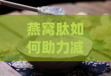 燕窝肽如何助力减肥：揭秘其促进脂肪分解与抑制合成的功效与作用