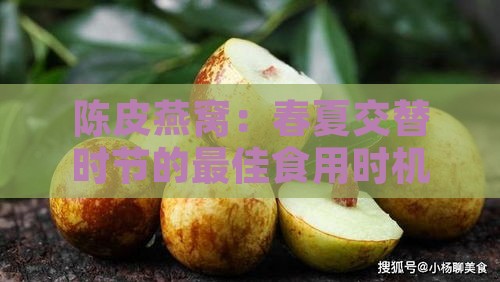 陈皮燕窝：春夏交替时节的更佳食用时机与功效解析