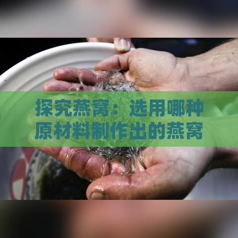 探究燕窝：选用哪种原材料制作出的燕窝品质更优？