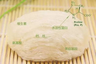 揭秘燕窝成分：究竟是什么珍贵物质构成？