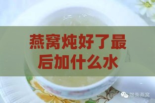 燕窝炖好了最后加什么水