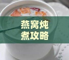 燕窝炖煮攻略：探讨矿泉水、纯净水炖制燕窝的更佳选择