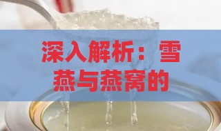 深入解析：雪燕与燕窝的功效对比及全面评估