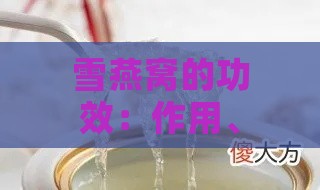 雪燕窝的功效：作用、营养、禁忌及吃法全解析