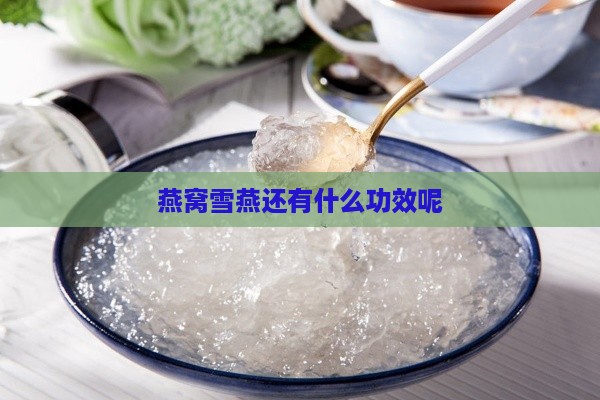 燕窝雪燕还有什么功效呢