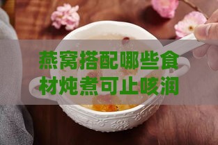 燕窝搭配哪些食材炖煮可止咳润肺：全面指南与食谱推荐