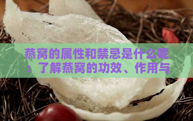 燕窝的属性和禁忌是什么呢：了解燕窝的功效、作用与温寒属性